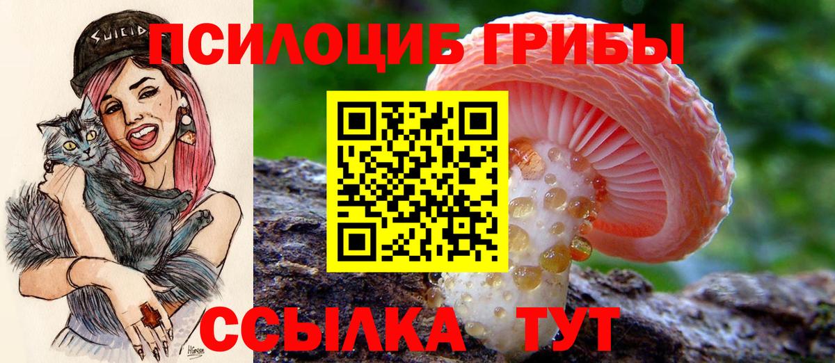 Псилоцибиновые грибы мухоморы Ярцево
