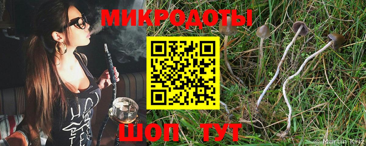 Галлюциногенные грибы ЛСД  как найти наркотики  Псилоцибиновые грибы мицелий  Ярцево  Вход с VPN 